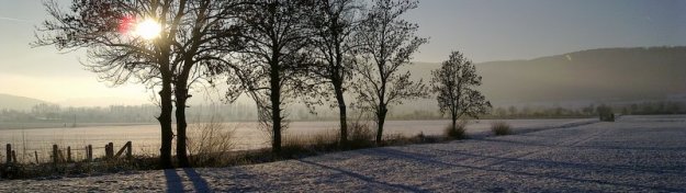 German winter landscape